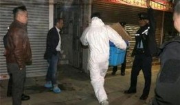 香港碎尸案最新爆料新闻,最新爆料揭露惊人细节